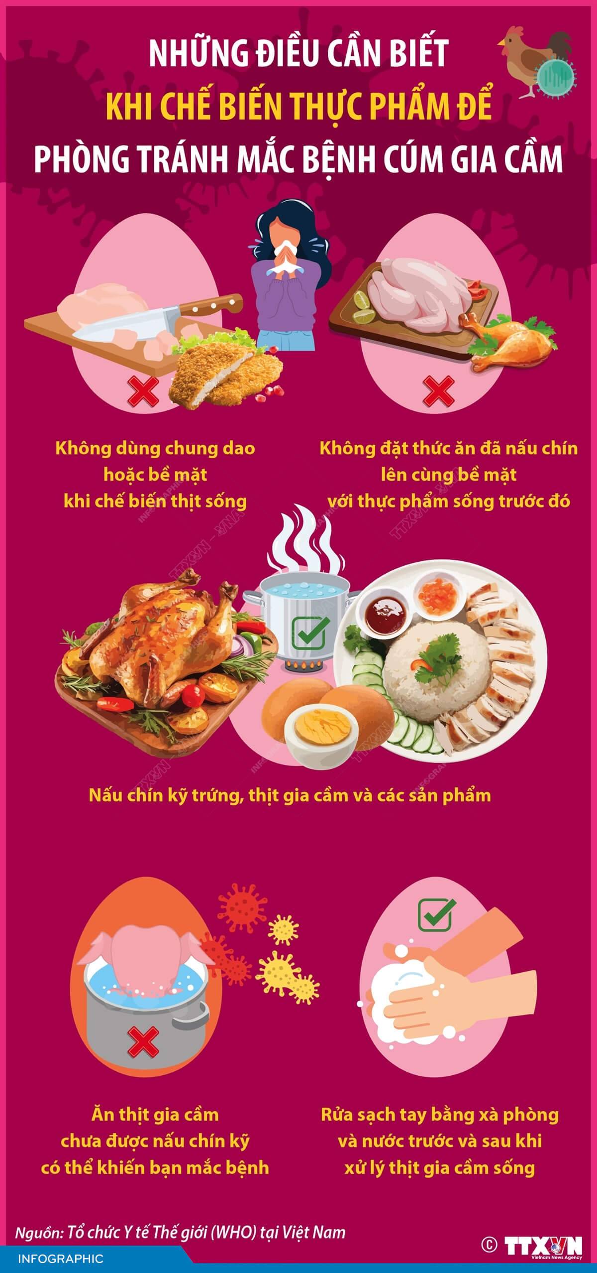 Những lưu ý khi chế biến thực phẩm để tránh mắc bệnh cúm gia cầm